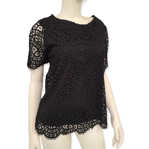 Black Lace Short Sleeve Top NWT size small - Picture 4 of 10
